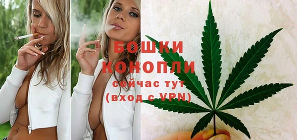 трава Новокубанск