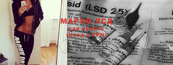 дживик Магас