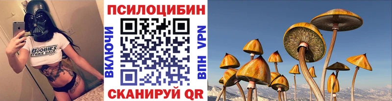 Псилоцибиновые грибы Psilocybe  Узловая 