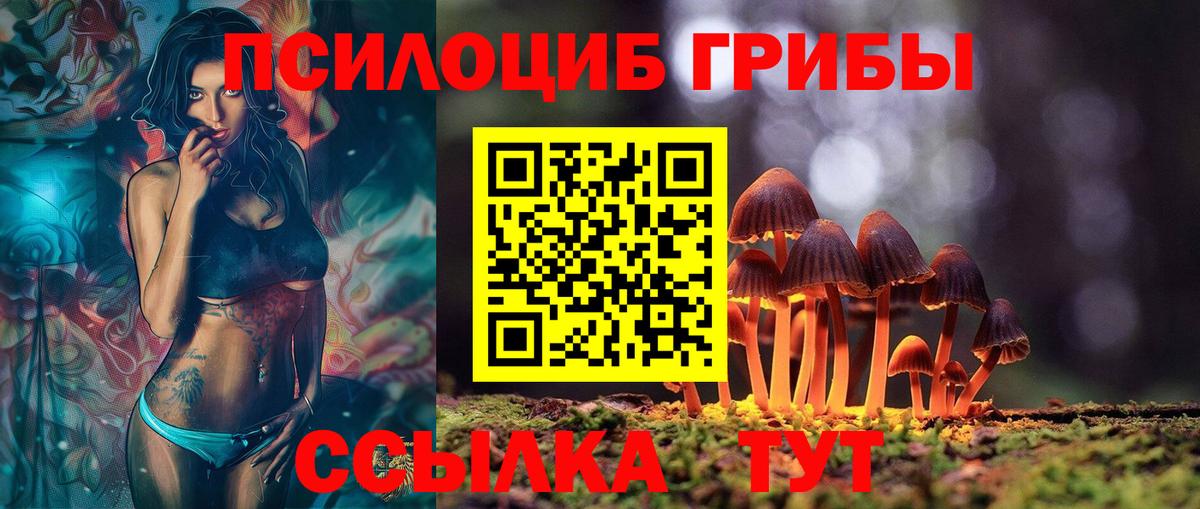 Псилоцибиновые грибы прущие грибы Узловая