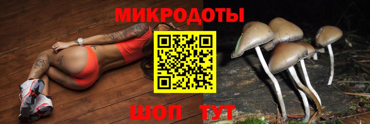 Узловая  где купить наркоту  Вход с VPN  Псилоцибиновые грибы ЛСД 